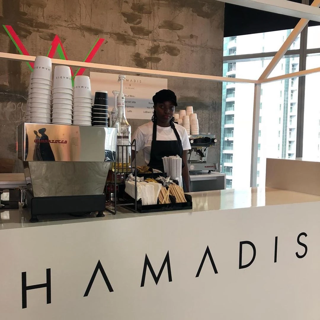 Rebranding-Hamadis13